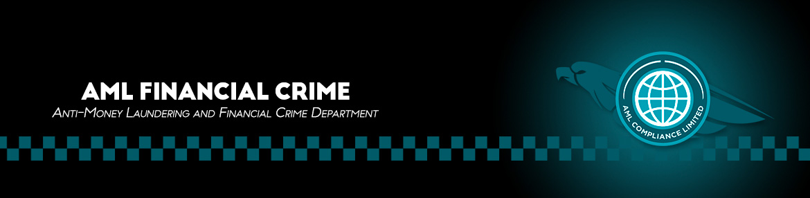 Red de Control de Delitos Financieros